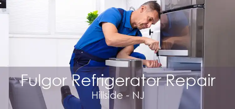 Fulgor Refrigerator Repair Hillside - NJ
