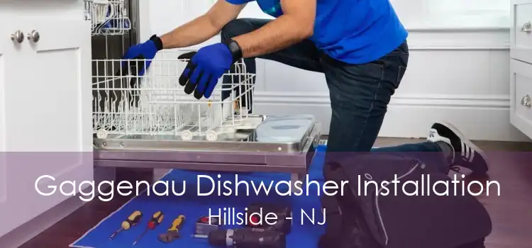 Gaggenau Dishwasher Installation Hillside - NJ