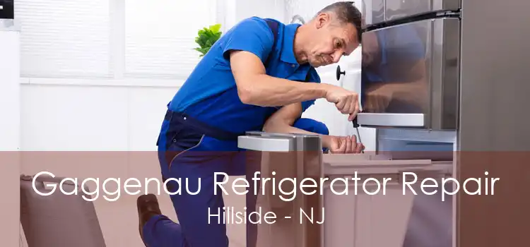 Gaggenau Refrigerator Repair Hillside - NJ