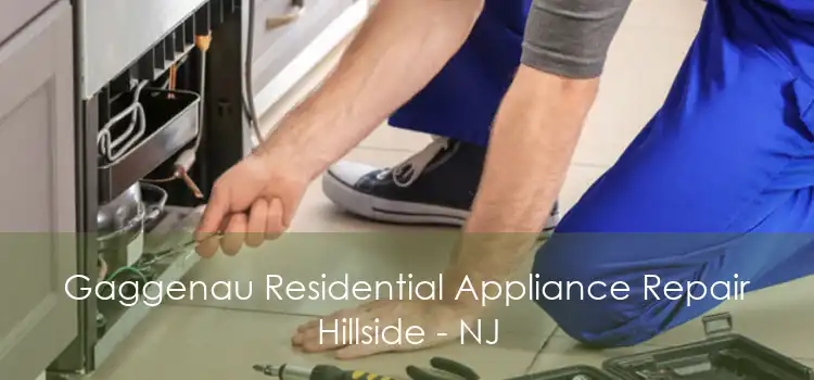 Gaggenau Residential Appliance Repair Hillside - NJ