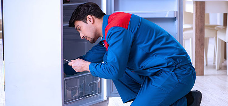 Freezer Repair Services in Hillside, New Jersey