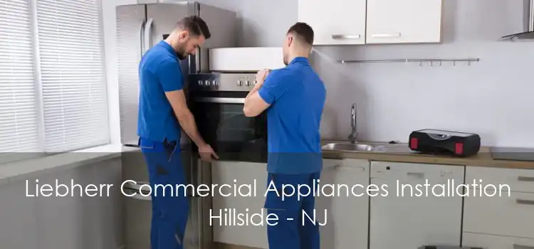 Liebherr Commercial Appliances Installation Hillside - NJ