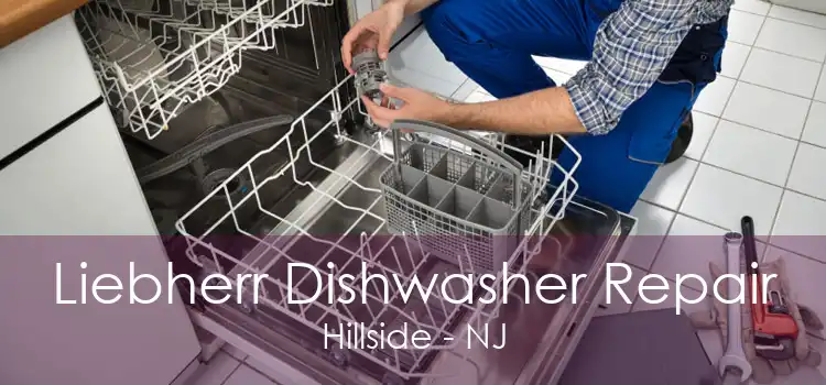 Liebherr Dishwasher Repair Hillside - NJ