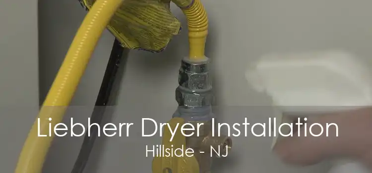 Liebherr Dryer Installation Hillside - NJ