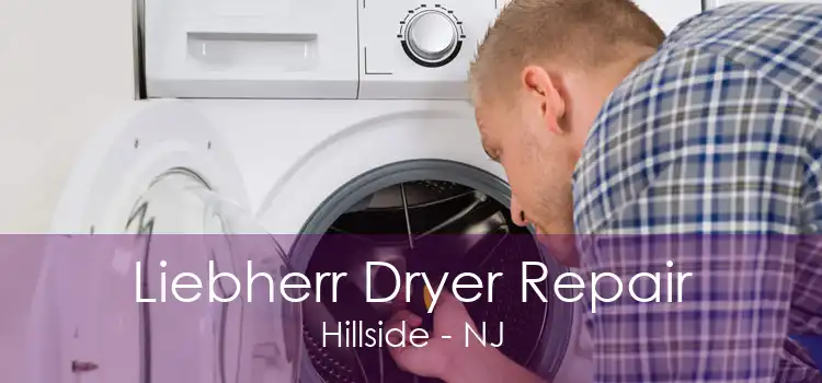 Liebherr Dryer Repair Hillside - NJ