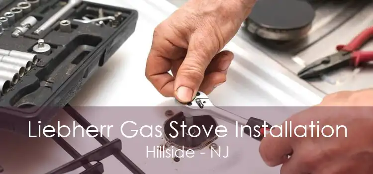 Liebherr Gas Stove Installation Hillside - NJ