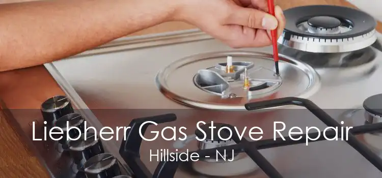 Liebherr Gas Stove Repair Hillside - NJ