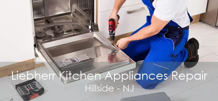 Liebherr Kitchen Appliances Repair Hillside - NJ