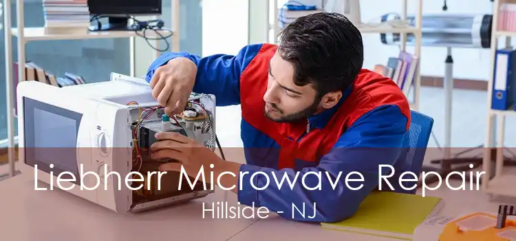 Liebherr Microwave Repair Hillside - NJ
