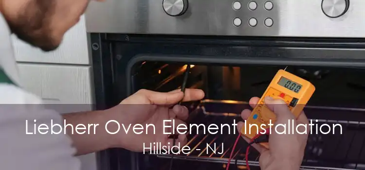 Liebherr Oven Element Installation Hillside - NJ