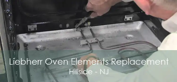 Liebherr Oven Elements Replacement Hillside - NJ
