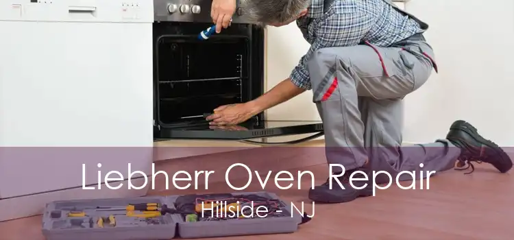 Liebherr Oven Repair Hillside - NJ