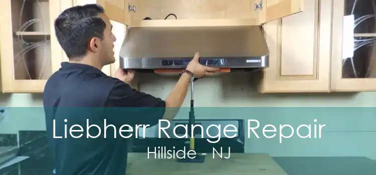 Liebherr Range Repair Hillside - NJ
