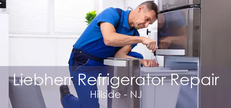 Liebherr Refrigerator Repair Hillside - NJ