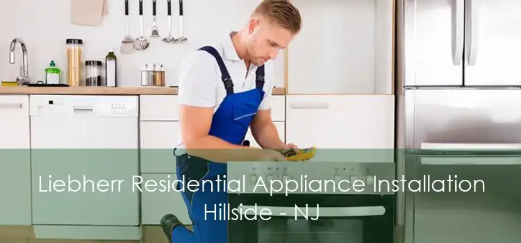 Liebherr Residential Appliance Installation Hillside - NJ