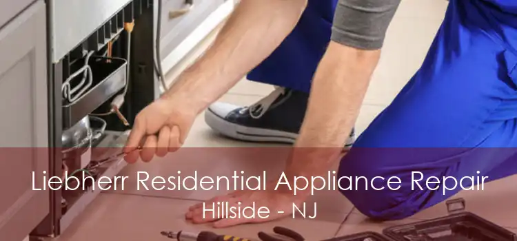 Liebherr Residential Appliance Repair Hillside - NJ