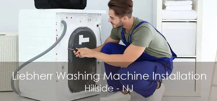 Liebherr Washing Machine Installation Hillside - NJ