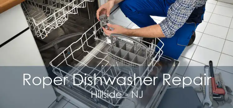Roper Dishwasher Repair Hillside - NJ