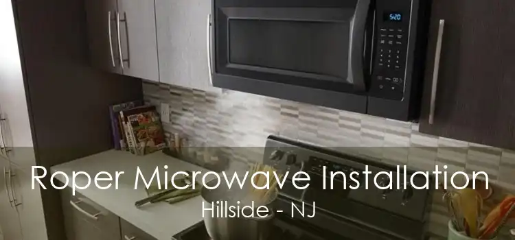 Roper Microwave Installation Hillside - NJ