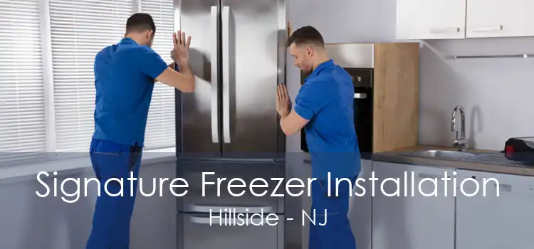 Signature Freezer Installation Hillside - NJ