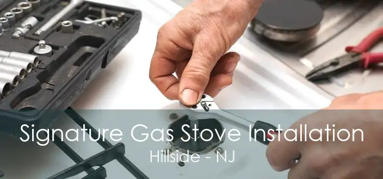 Signature Gas Stove Installation Hillside - NJ