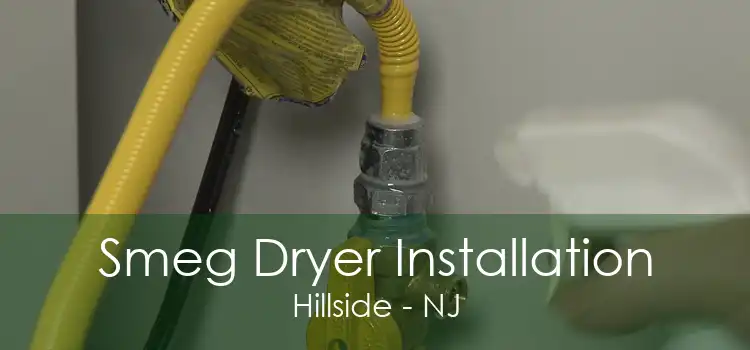 Smeg Dryer Installation Hillside - NJ