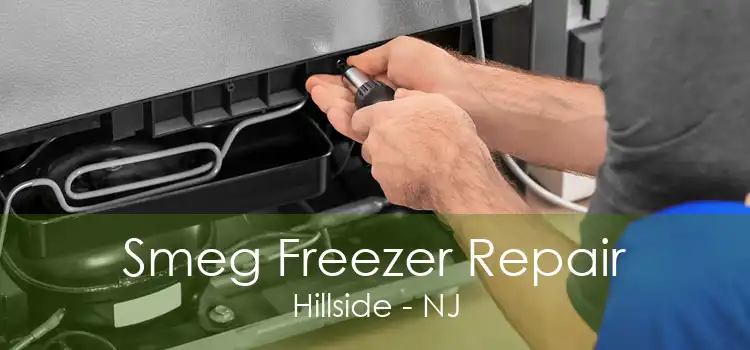 Smeg Freezer Repair Hillside - NJ