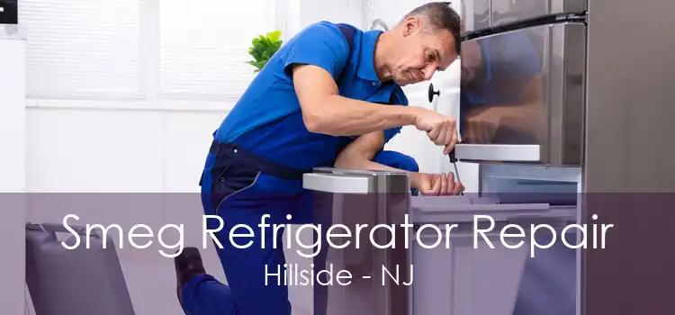 Smeg Refrigerator Repair Hillside - NJ