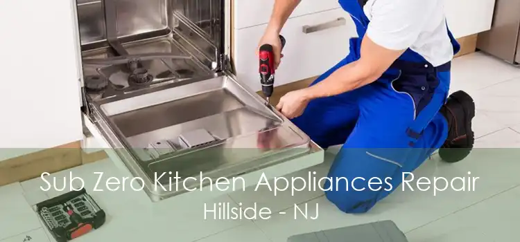 Sub Zero Kitchen Appliances Repair Hillside - NJ