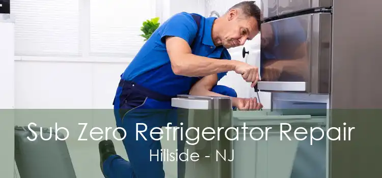 Sub Zero Refrigerator Repair Hillside - NJ