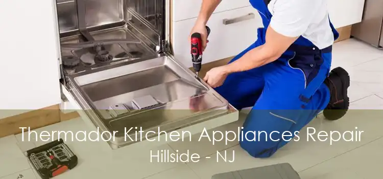 Thermador Kitchen Appliances Repair Hillside - NJ