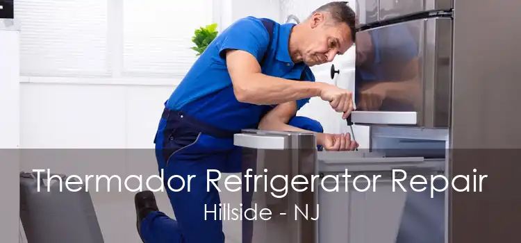 Thermador Refrigerator Repair Hillside - NJ