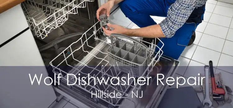 Wolf Dishwasher Repair Hillside - NJ