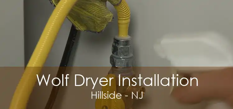 Wolf Dryer Installation Hillside - NJ