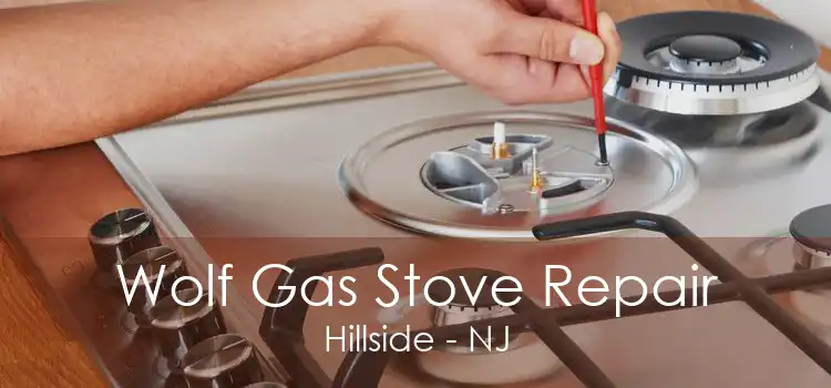 Wolf Gas Stove Repair Hillside - NJ