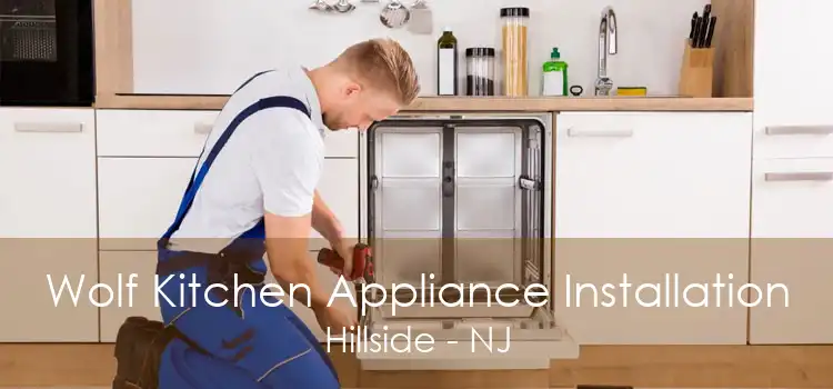 Wolf Kitchen Appliance Installation Hillside - NJ