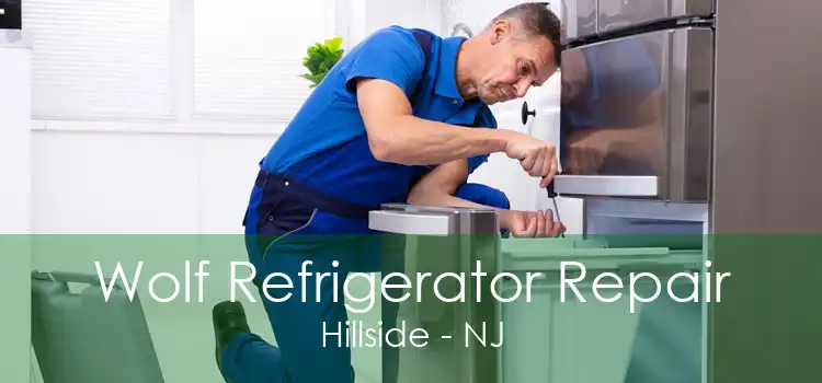 Wolf Refrigerator Repair Hillside - NJ