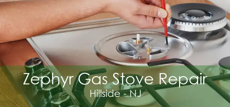 Zephyr Gas Stove Repair Hillside - NJ