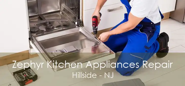 Zephyr Kitchen Appliances Repair Hillside - NJ